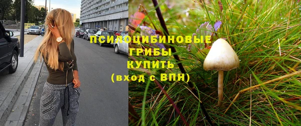 хмурый Армянск