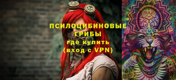 ECSTASY Алзамай