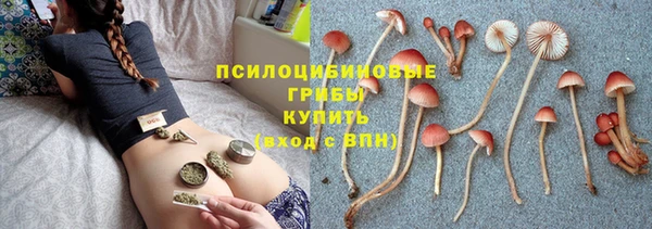 хмурый Армянск