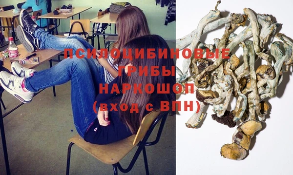 ECSTASY Алзамай